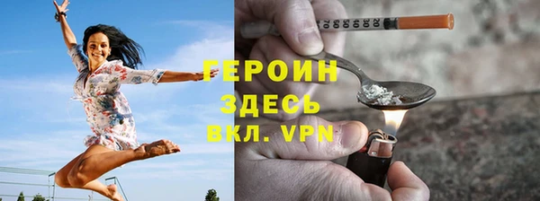 гидра Вязьма