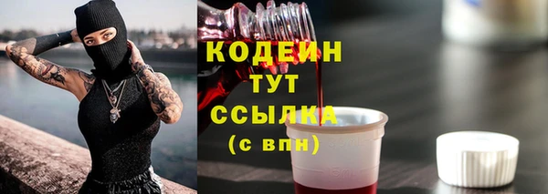 гидра Вязьма
