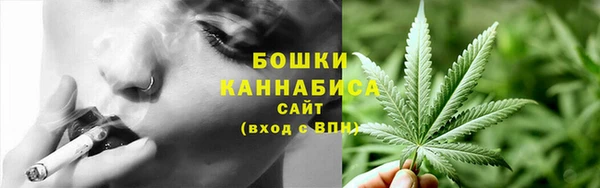 ГАЛЛЮЦИНОГЕННЫЕ ГРИБЫ Вязники