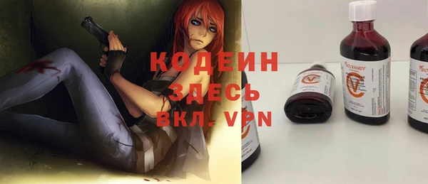 гидра Вязьма