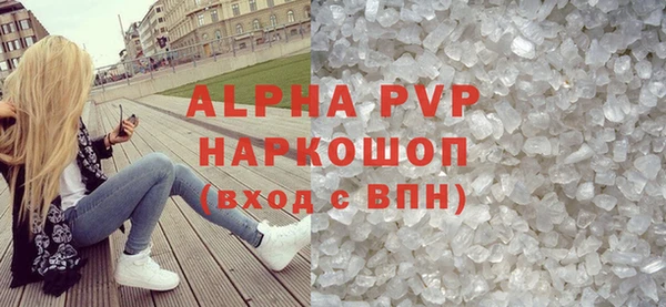 гидра Вязьма