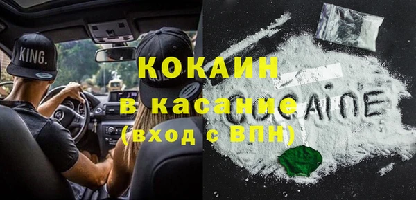 ГАЛЛЮЦИНОГЕННЫЕ ГРИБЫ Вязники