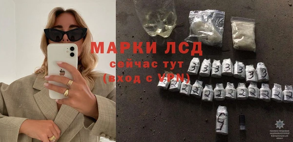 гидра Вязьма