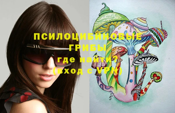 гидра Вязьма