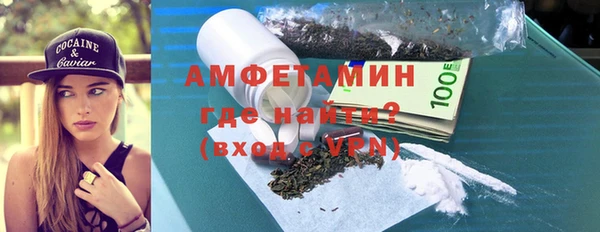 гидра Вязьма