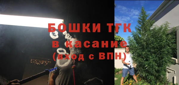 ГАЛЛЮЦИНОГЕННЫЕ ГРИБЫ Вязники