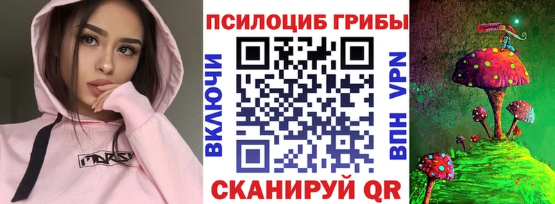 Псилоцибиновые грибы GOLDEN TEACHER  Купить где  Весьегонск 